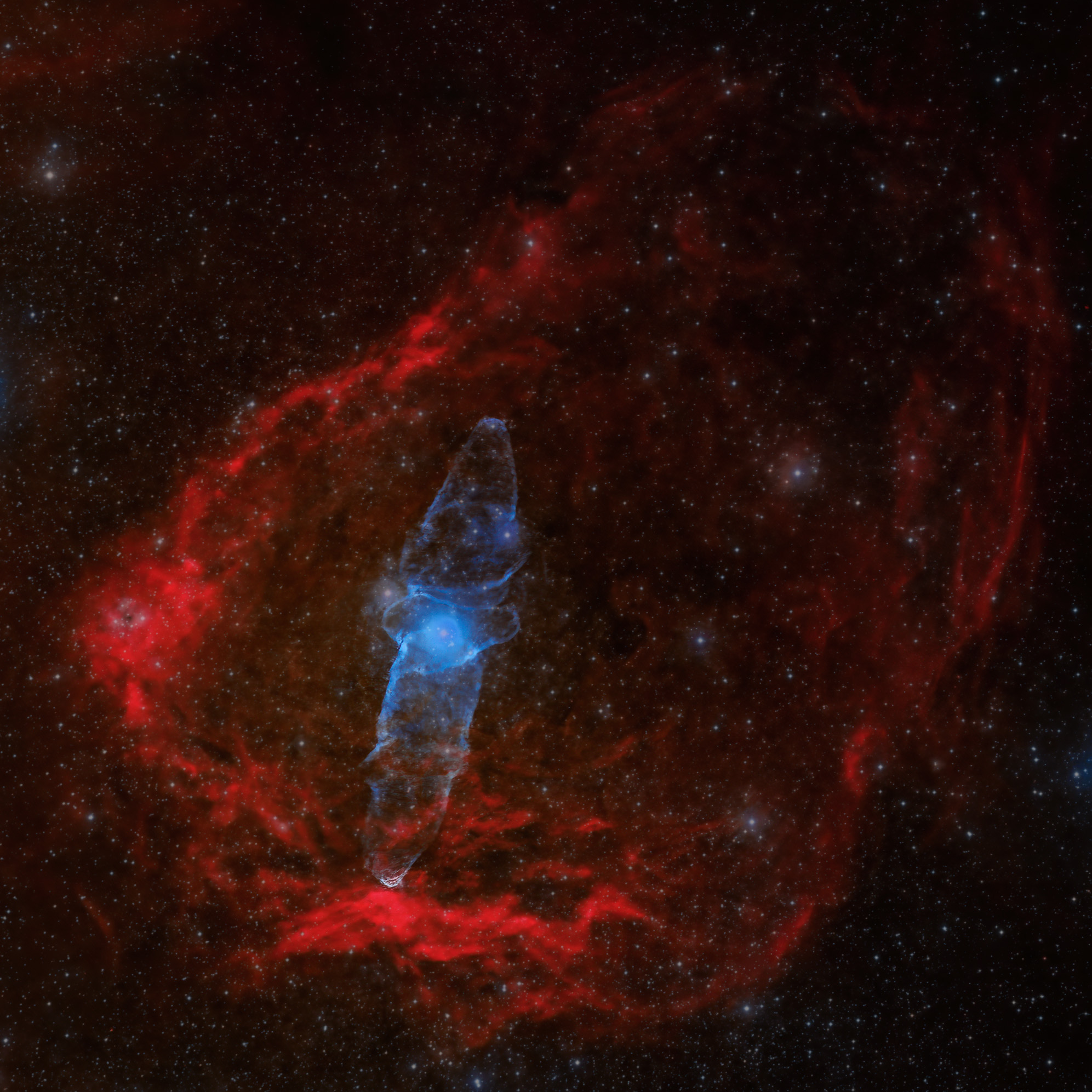 Flying Bat and Squid Nebula Telescope Live